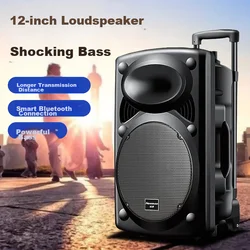 Newmine Bluetooth zvučnik sa 2 mikrofona B12, 4000 mAh, Crni