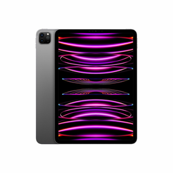 APPLE tablični računalnik iPad Pro 11 2022 (4. gen) 8GB/256GB, Space Gray