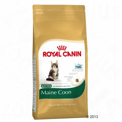 Royal Canin Maine Coon Kitten - ekonomično pakiranje: 2 x 10 kg