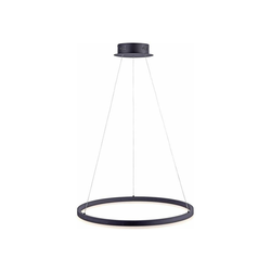 Paul Neuhaus 2382-13 - LED prigušiva luster na sajli TITUS LED/38,5W/230V
