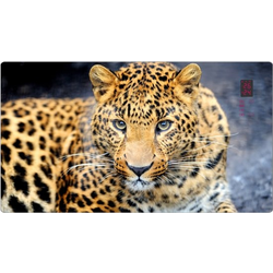 Emerio stakleni radijator Leopard