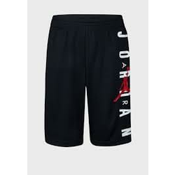 Nike JORDAN VERTMESH SHORT