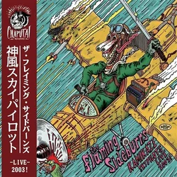 The Flaming Sideburns - Kamikaze Sky Pilots (LP)
