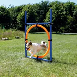 Agility krug za treniranje psa