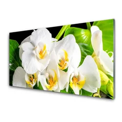 tulup.si Slika na steklu Orhideje narava 140x70 cm 2 obešalnika