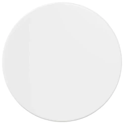 Gornji dio stola Visoko sjajno bijela O 30 x 1,5 cm