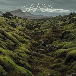 Grass - Grass (Limited Edition) (LP)