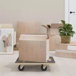 Transportna kolica 2 kom pravokutna 50 x 35 x 11,5 cm 250 kg