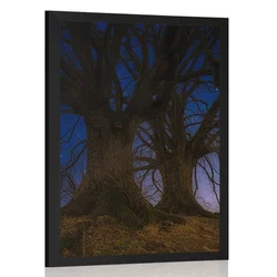 Plakat drevesa v nočni pokrajini - 20x30 no frame
