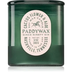 Paddywax Vista Cactus Flower & Aloe dišeča sveča 340 g