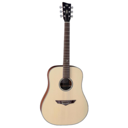 VGS akustična kitara RT-10 ROOT NATURAL SATIN