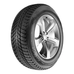 Roadstone Winguard Ice Plus ( 195/65 R15 95T)