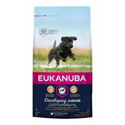 Eukanuba hrana za pse Junior Large, 15 kg