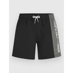 ONeill Retro 14 kopalne hlače black out colour block