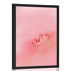 Plakat v objemu rožnate - 40x60 white