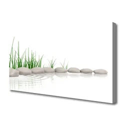 tulup.si Slika na platnu Stones grass art 100x50 cm