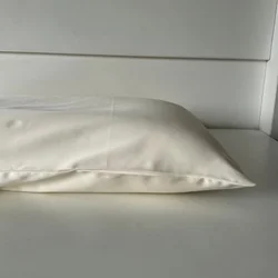 Jastučnica 100% pamučni saten 50x70cm Clas A42 ( VLK000177-clasa42 )