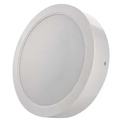 LED plafonsko svetlo 24W/230V, prečnik 22 cm, belo