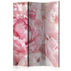 artgeist Paravan Sweet Peonies, Dvostranski, 3-Delni