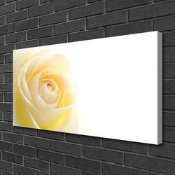 tulup.si Slika na platnu Rose flower rastlin narava 100x50 cm