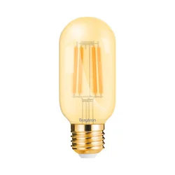 Braytron LED sijalica BRY-ADVANCE-4W-E27-T45-AMB-2200K