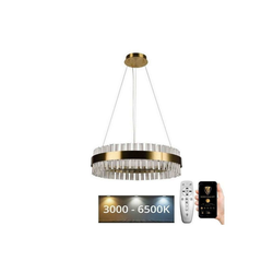 Brilagi - LED prigušiva kristalna svetiljka na sajli HALO LED/40W/230V + daljinski upravljač