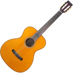 Valencia VA434 Vintage Natural Akustična kitara (Kot novo)