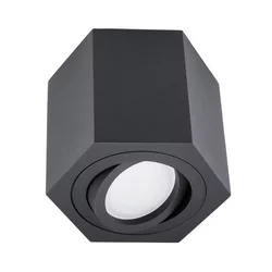 Spot svetiljka ARENO 1xGU10/30W/230V crna