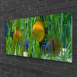tulup.si Slika na steklu Ribe, alg narava 125x50 cm 2 obešalnika