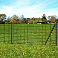 Euro ograda 25 x 0,8 m čelična siva