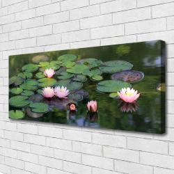 tulup.si Slika na platnu Voda lily pond narava 120x60 cm