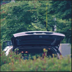 Eiko Ishibashi & Jim ORourke - Pareidolia (LP)