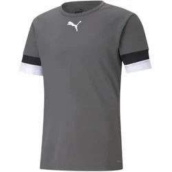 Puma Dres teamRISE Jersey
