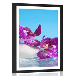 Plakat s paspartujem wellness tihožitje - 40x60 no frame