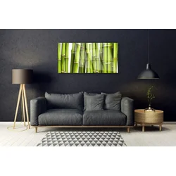 tulup.si Slika na steklu Bamboo rastlin narava 120x60 cm 2 obešalnika