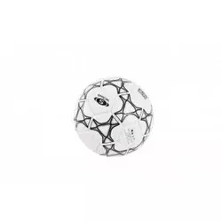 Fudbalska lopta Pro 2000, Bela