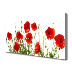 tulup.si Slika na platnu Mak rože narava rastlin 120x60 cm