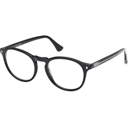 Web WE5387 003