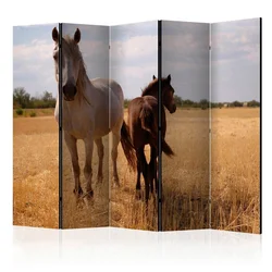 artgeist Paravan Horse And Foal I, 5-Delni, Dvostranski