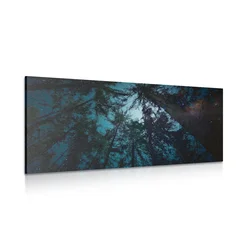Slika gozd nad nočnim nebom - 80x40