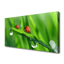 tulup.si Slika na platnu Pikapolonica grass drops 125x50 cm