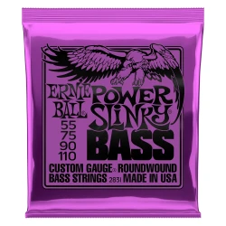 Ernie ball 2831 55-110 Bass Guitar Strings