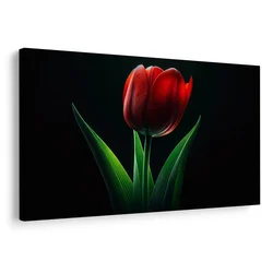 Slika rdeča tulipanova eleganca - 90x60