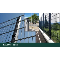 PANEL BUILDER FENCE 2D NORMAL 6/5/6 250x163 - ZELEN RAL 6005