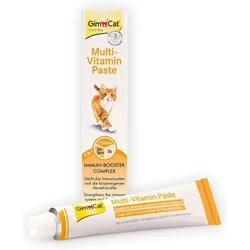 GIMBORN Multivitaminska pasta 20g