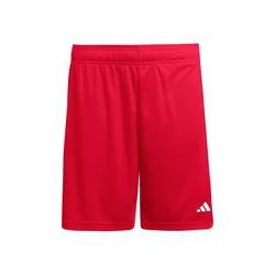 ADIDAS PERFORMANCE Športne hlače ENT26 rdeča