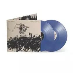 Avenged Sevenfold - Life Is But A Dream... (Limited Edition) (2 LP)