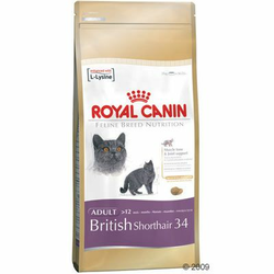 Royal Canin hrana za mačke British Shorthair, 10 kg