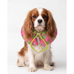 Paws & Whiskers Ogrlica za kućne ljubimce Krofna, Roze