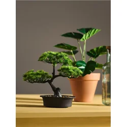 Sinsay - Bonsai drvo u saksiji - zeleno
